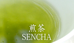 煎茶 (SENCHA)