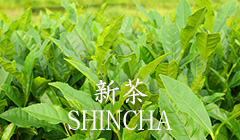 新茶 (SHINCHA)